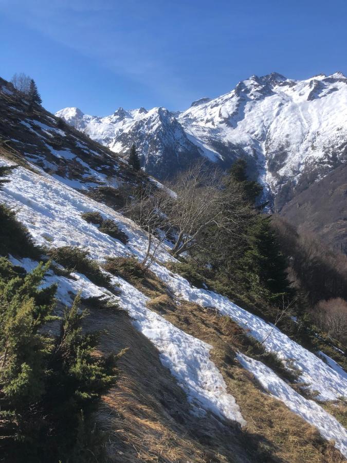La Petite Maison Des Montagnes Luz-Saint-Sauveur Dış mekan fotoğraf